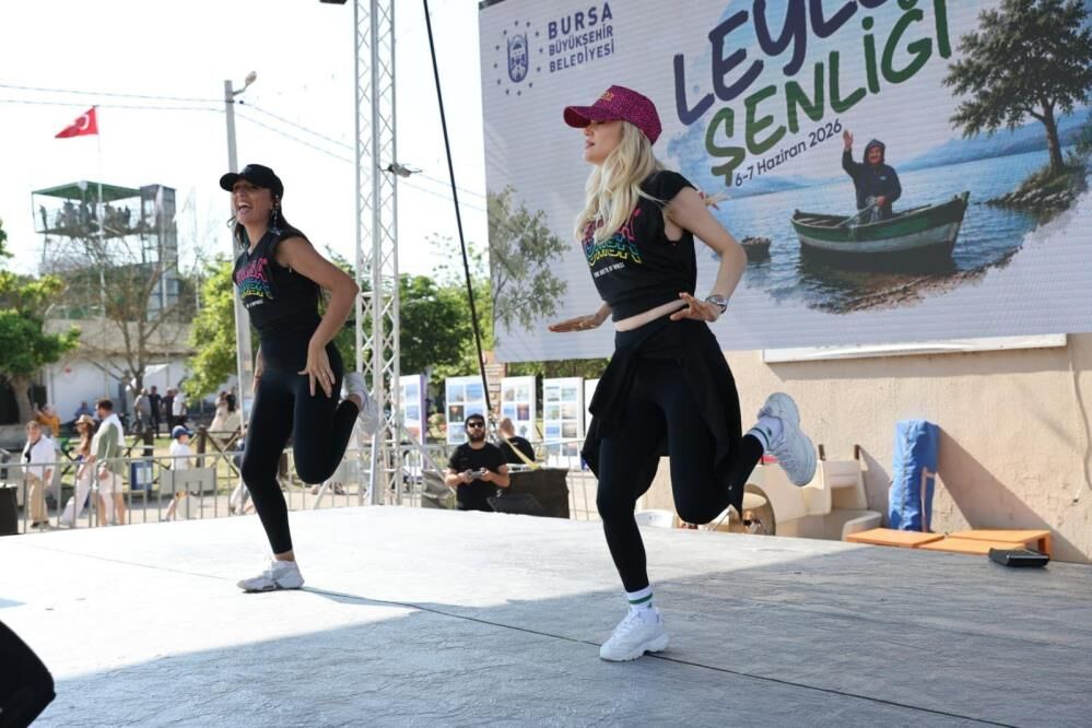 Leylek 1