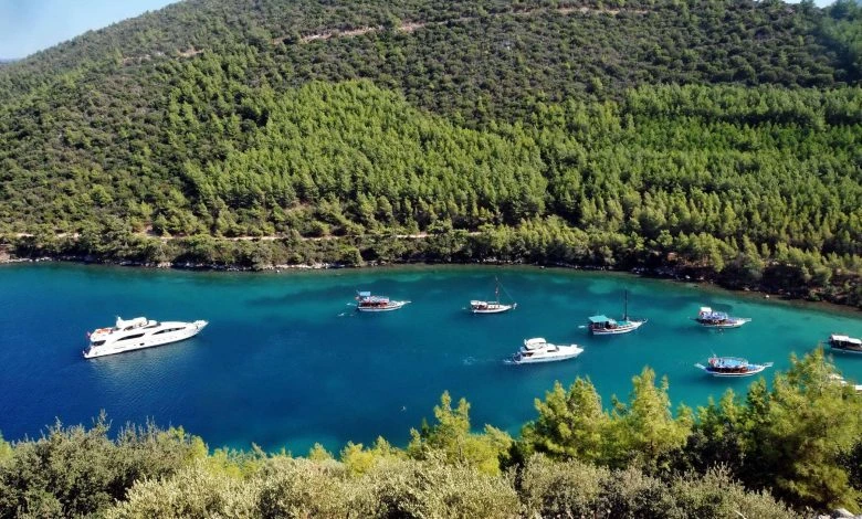 Mazı Koyu Bodrum Muğla Haziran Ayında Denize Girilecek Sakin Yerler Kalabalıktan Uzak 5 Gizli Tatil Rotası