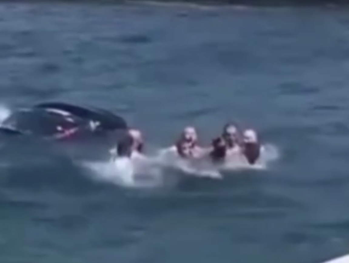 Ekran Alıntısı3
